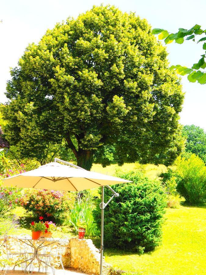La Belle Verte Grignols  Dış mekan fotoğraf