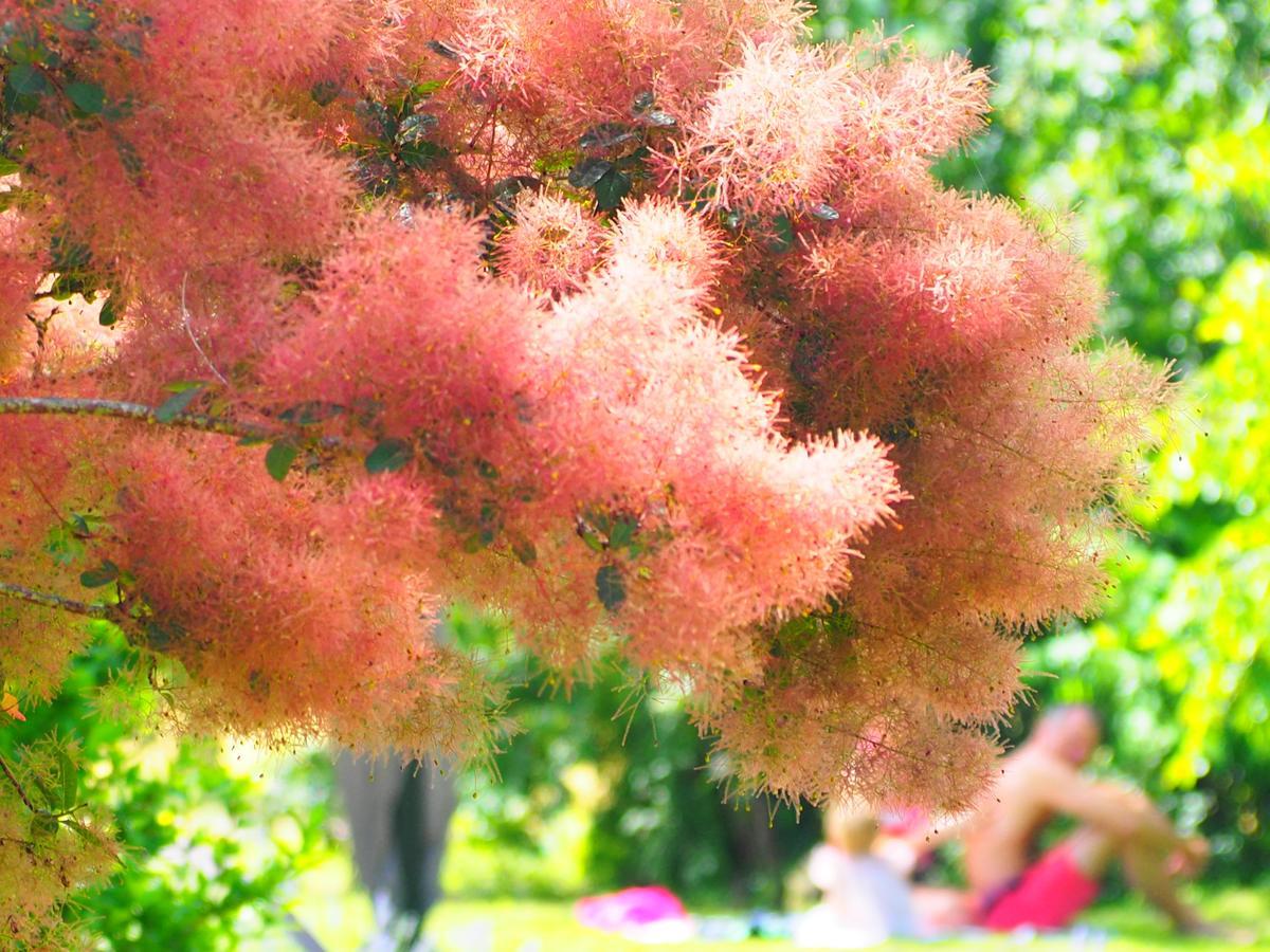 La Belle Verte Grignols  Dış mekan fotoğraf