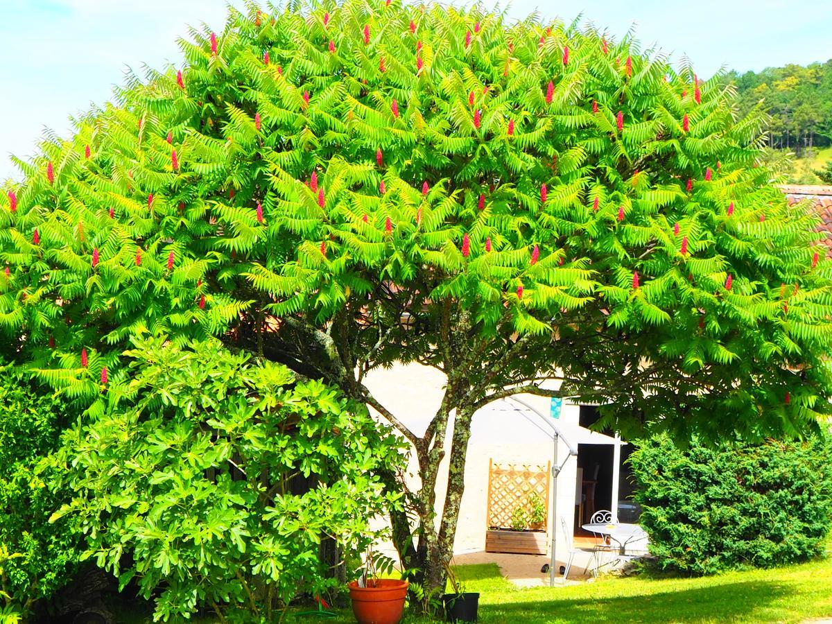 La Belle Verte Grignols  Dış mekan fotoğraf